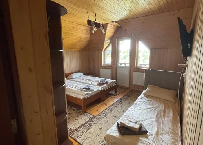 під лісом Pid Lisom Skhidnytsia